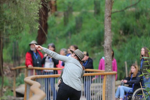 Walk With Wildlife: Guided Tour In Great Ocean Road - Tourism Search 0