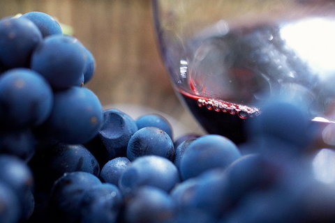 Mornington Peninsula 2-6 Guests Lunch At Merricks General Wine Store Or RareHare - Tourism Search 8