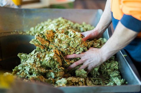 Little Creatures Brewery Tours - Tourism Search 7