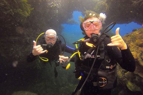 Rottnest Island Dive & Snorkel Day Trips - Tourism Search 2