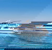 Rottnest Island Dive  Snorkel Day Trips - Tourism Search
