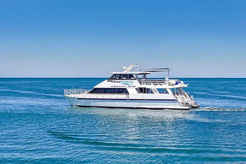 Rottnest Island Dive & Snorkel Day Trips - Tourism Search 0