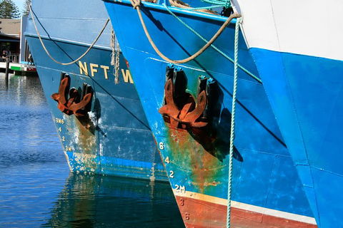 Photography Tour Of Historical Fremantle And Street Art. - Tourism Search 0