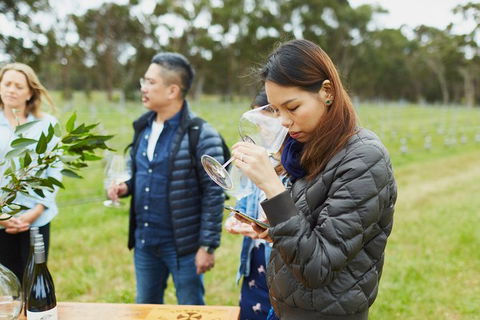 Organic Vineyard/Farm Tour - Tourism Search 1