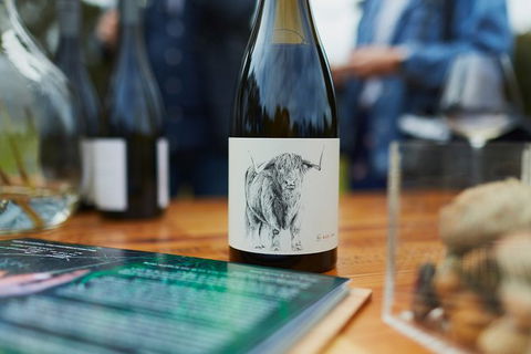 Organic Vineyard/Farm Tour - Tourism Search 5