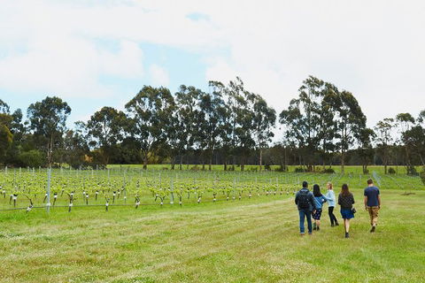 Organic Vineyard/Farm Tour - Tourism Search 7