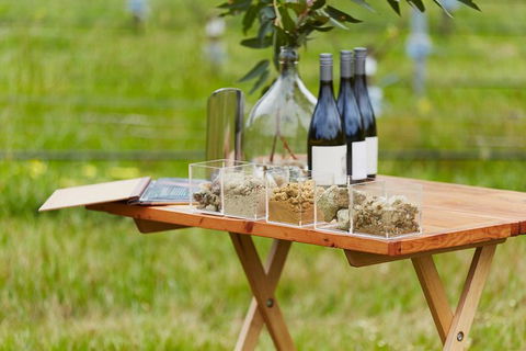 Organic Vineyard/Farm Tour - Tourism Search 3