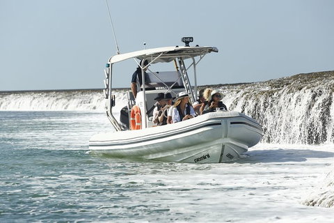 Cygnet Bay Explorer - Tourism Search 8