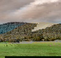 Baldwins Bluff Guided Hike - Tourism Search