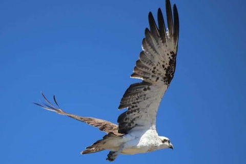 Romance Aircraft Flight + Scenic Tour + 3 Course Lunch + Beer Tasting + Hamper - Tourism Search 4