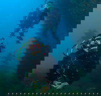Scuba Dive The Beautiful Rottnest Island - Tourism Search