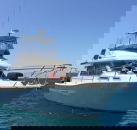 Single Boat Dive - Tourism Search