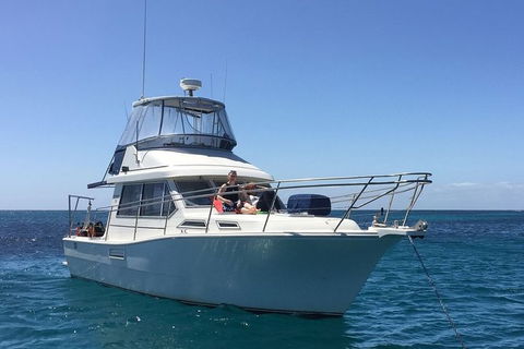 Single Boat Dive - Tourism Search 0