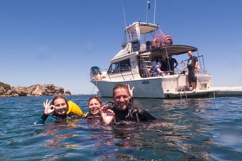 Single Boat Dive - Tourism Search 1