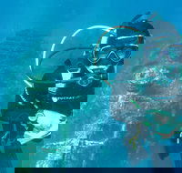 PADI Open Water Course - Tourism Search