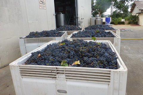 A Taste Of Margaret River Luxury Wine Tour - Tourism Search 3