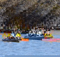 Private Guided River Kayak Tour - Tourism Search
