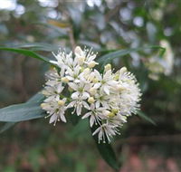 Booderee National Park - Tourism Search