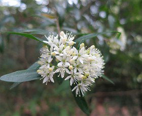 Booderee National Park - Tourism Search 0