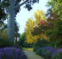 Albury Botanic Garden - Tourism Search