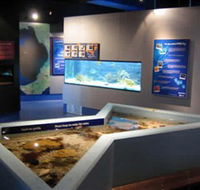 Marine and Freshwater Discovery Centre - Tourism Search