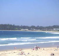 Mollymook Surf Beach - Tourism Search