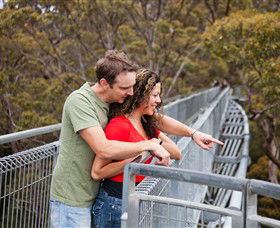 Valley Of The Giants Tree Top Walk - Tourism Search 0