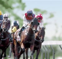 Colac Turf Club - Tourism Search