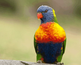 Booderee National Park - Tourism Search 1