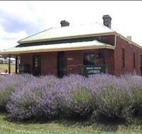 Lavender House in Railway Park - Tourism Search