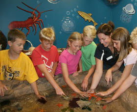 Naturaliste Marine Discovery Centre - Tourism Search 0
