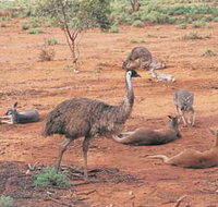 Hammond Park - Tourism Search