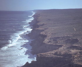 Denham WA Tourism Search