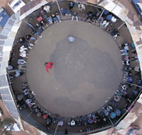 Two-Up School - Tourism Search