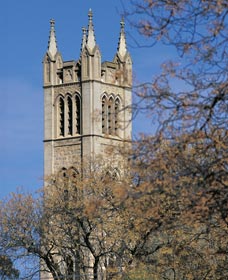 St Patrick's Church - Tourism Search 0