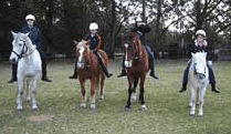 Valhalla Horse Riding - Tourism Search 1