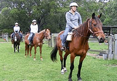 Valhalla Horse Riding - Tourism Search 2