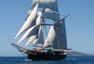 Australian Tallship Cruises - Tourism Search 0