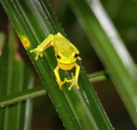 Daintree River Cruise Centre - Tourism Search
