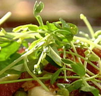 Wild Hearts Cafe Restaurant - Tourism Search