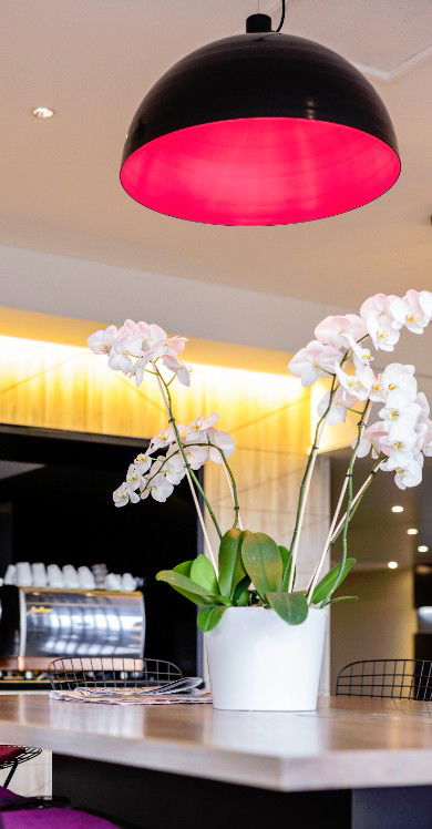 MRepublic Restaurant, Bar And Lounge - Tourism Search 4