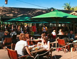 Byron Bay NSW Tourism Search