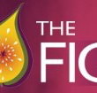 Naked Fig - Tourism Search