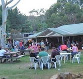 Bush Shack Brewery - Tourism Search