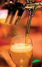 Old Coast Road Brewery - Tourism Search 2