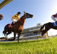 Wyong Race Club - Tourism Search