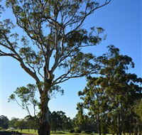 Ryde-Parramatta Golf Club - Tourism Search