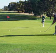 Waikerie Golf Club - Tourism Search