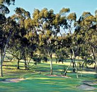 Tanunda Pines Golf Club - Tourism Search