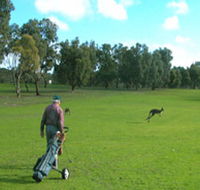 Coffin Bay Golf Club - Tourism Search